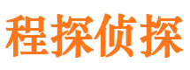 大方市调查公司